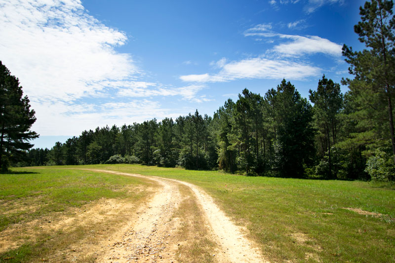 Sasquatch Farm Path